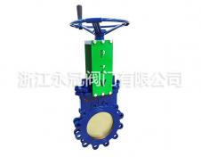 手動(dòng)偏心暗(àn)杆刀閘(zhá)閥PZ43H